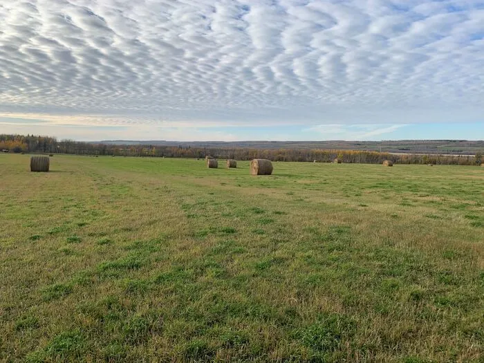 Highlights of Living In South Dawson