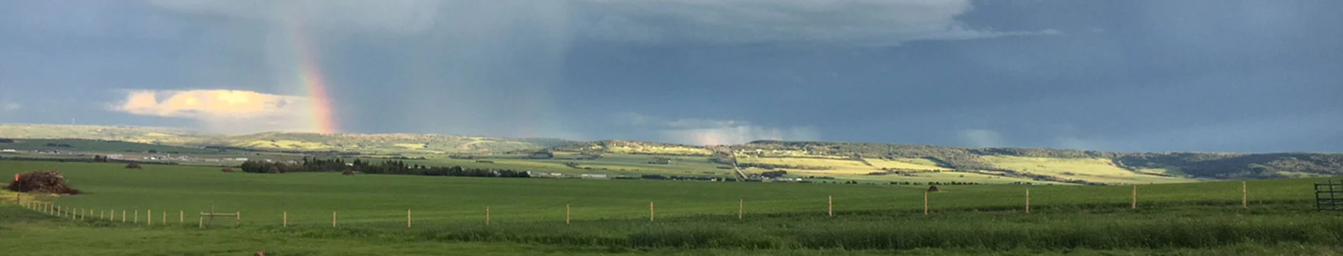 large green field near dawson creek with fence posts and a rainbow
