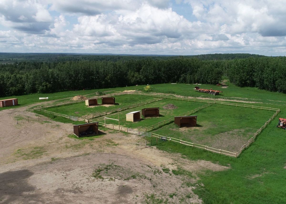 noperson-landscape-agriculture-tree