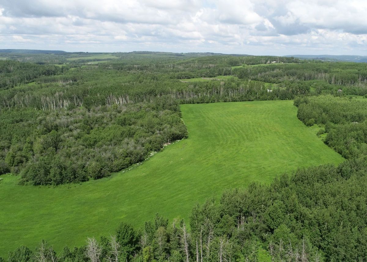 landscape-noperson-nature-grass