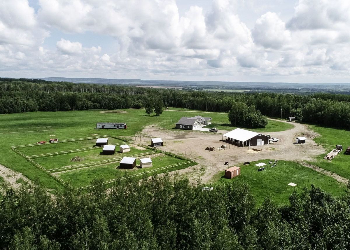 noperson-landscape-grass-tree