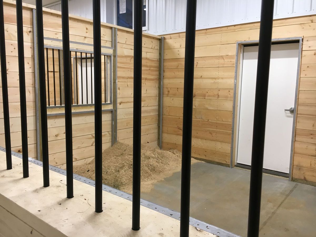 architecture-wood-door-indoors