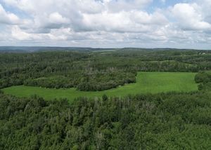 landscape-noperson-nature-wood