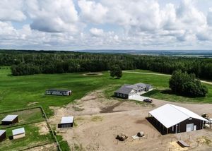 landscape-travel-noperson-grass