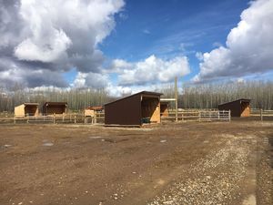 abandoned-noperson-barn-house