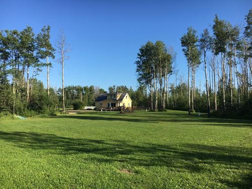 grass-tree-noperson-landscape