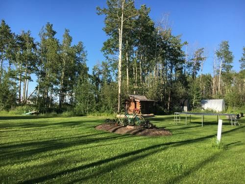 tree-grass-wood-landscape