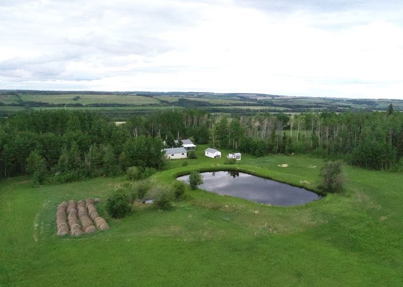 noperson-landscape-grass-nature