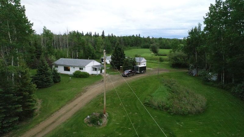 tree-house-grass-wood