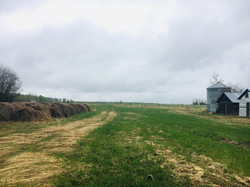 grass-landscape-noperson-agriculture
