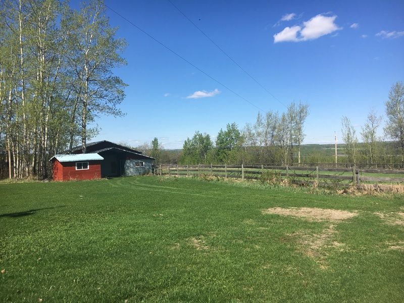 grass-landscape-tree-house