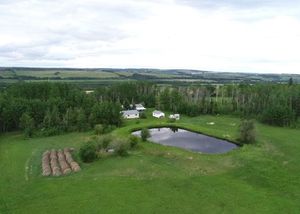 noperson-landscape-grass-nature