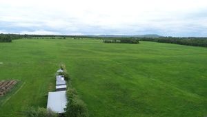 grass-noperson-landscape-countryside