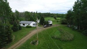 tree-house-grass-wood