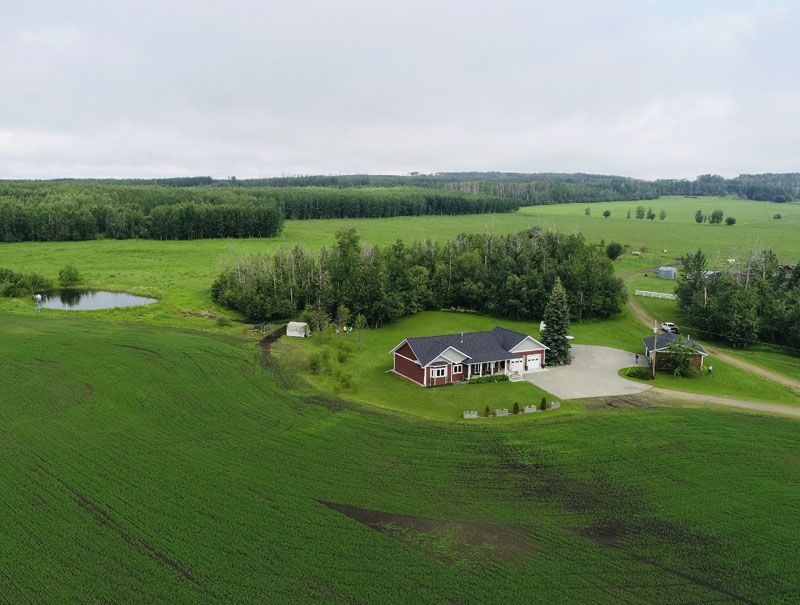 golf-landscape-grass-tree