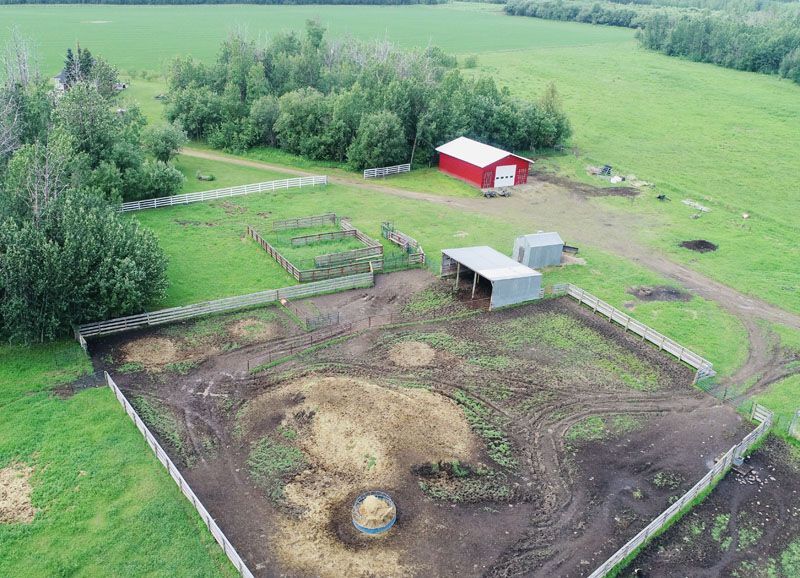 farm-house-grass-landscape