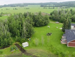 landscape-tree-nature-grass