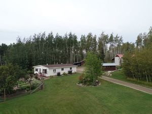 family-house-tree-noperson