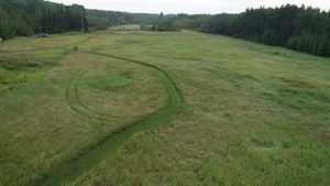 landscape-grass-noperson-nature