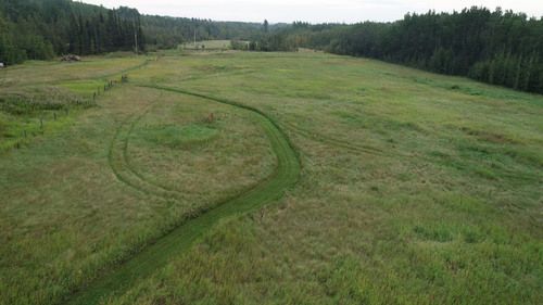 landscape-grass-noperson-nature