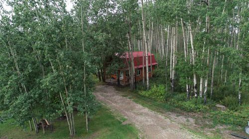 wood-tree-landscape-nature