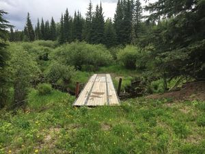 wood-landscape-nature-noperson