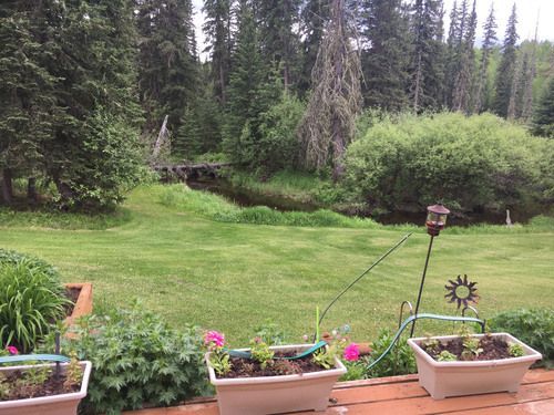 garden-flower-nature-landscape