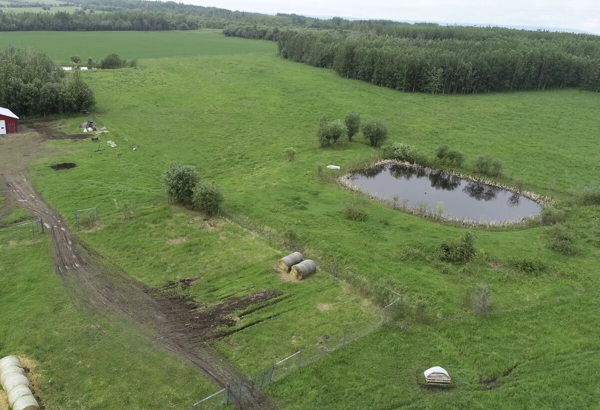 landscape-grass-noperson-nature