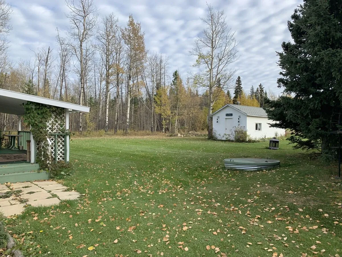 house-home-noperson-tree