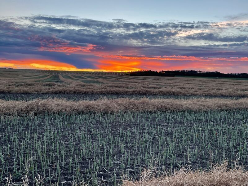 colourful-sunset-over-a-field-at-a-rural-property-in-dawson-creek
