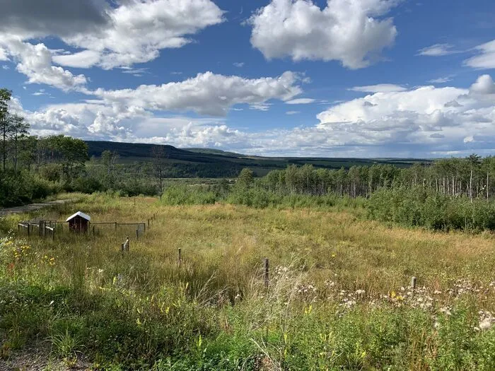 open-green-hilly-area-in-south-dawson