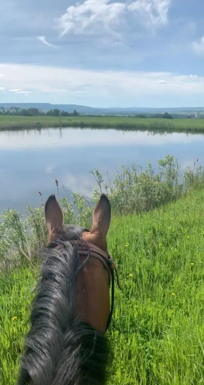 view of lagoon from horseback
