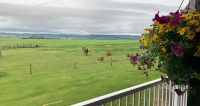 view of nature from rural dawson creek home